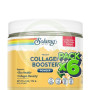 Pack 6x Vegan Collagen Booster en Polvo Sabor Vainilla 173G Solaray