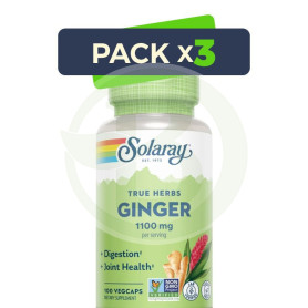 Pack 3x Raíz De Jengibre 550Mg 100 Cápsulas Vegetales Solaray