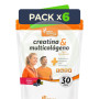 Pack 6x Creatina y Multicolágeno 270Gr Pinisan