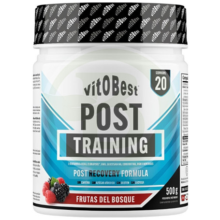 Post Training Sabor Frutas del Bosque 500G Vit.o.best