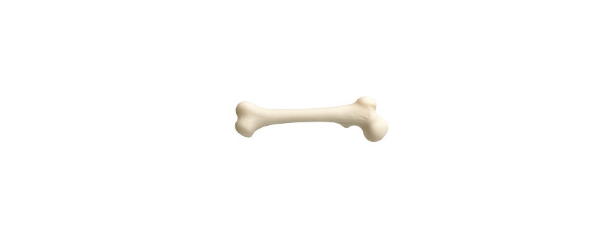 Sistema Osteoarticolare