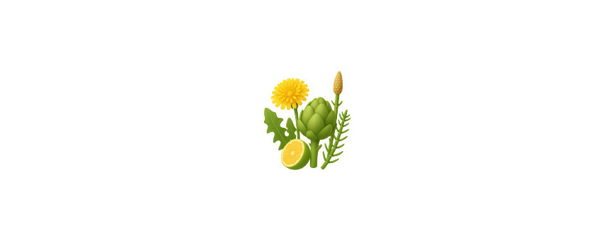 Diuréticos