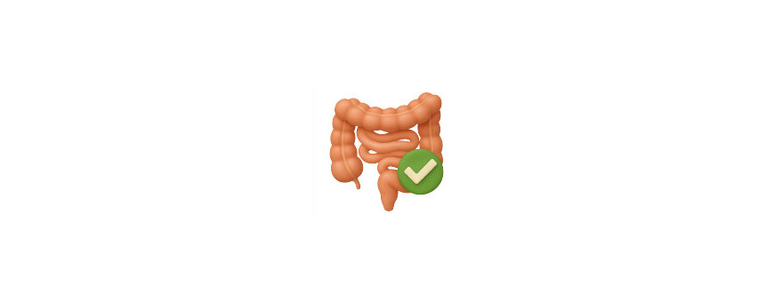 Transito Intestinale
