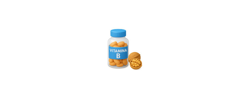 Vitamina B