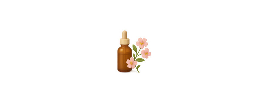 Flores de Bach