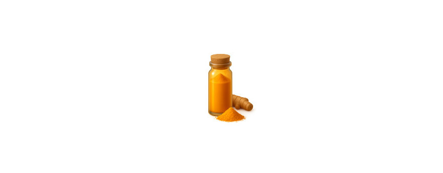 Curcuma