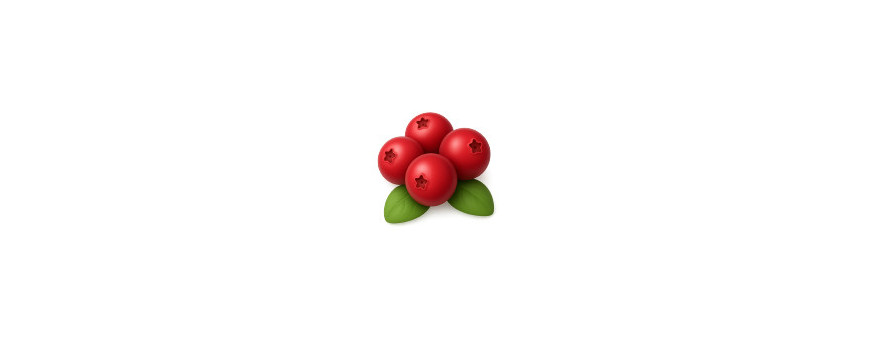 Arándano Rojo