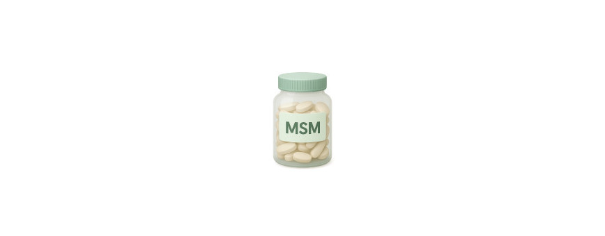 Metilsulfonimetano