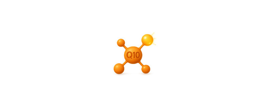 Coenzima Q10