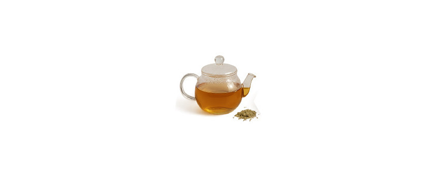 Infusi