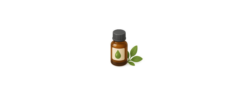Aceites Vegetales